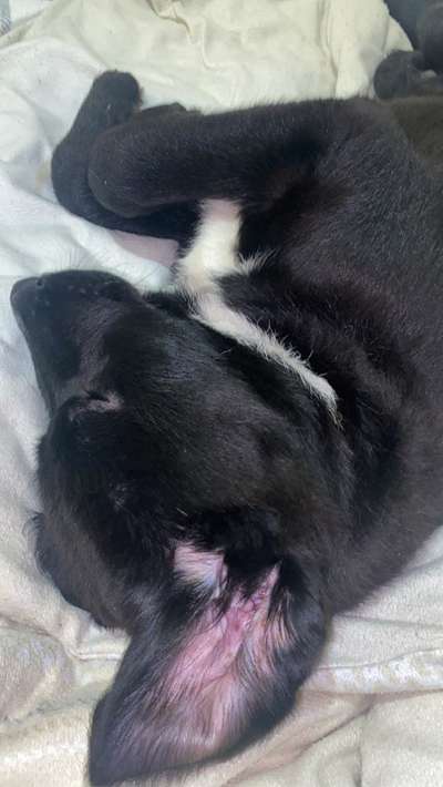 Die unbequemsten und lustigsten Schlafpositionen-Beitrag-Bild