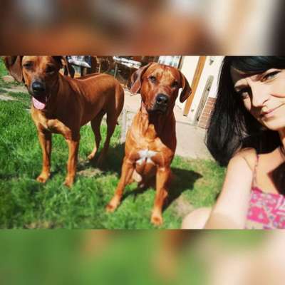 Jacky🐾 Aຕoᥒ & Kყɾᥲ 🐾's Profilbild