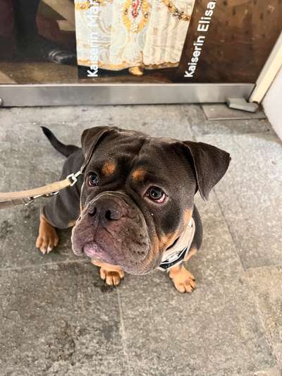 aktuelles Foto Gruppe Social Walk - Enzkreis