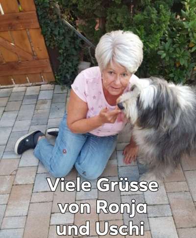 Welpen Bilder !-Beitrag-Bild