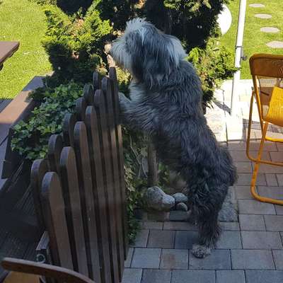 Challenge 30  Freundschaft-Beitrag-Bild