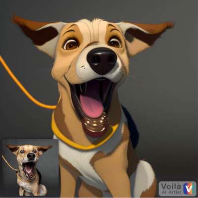 Voila app Bilder-Beitrag-Bild