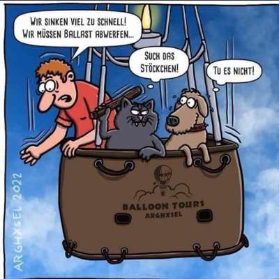 Hunde Memes-Beitrag-Bild