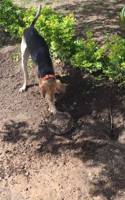 Fotochallenge 129-Beitrag-Bild