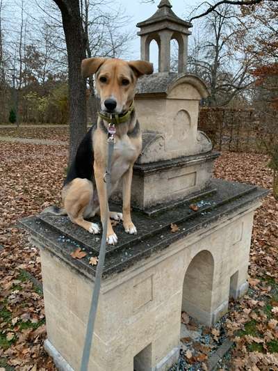 Fotochallenge 87: Im Park-Beitrag-Bild