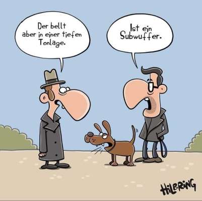 Hunde Memes-Beitrag-Bild