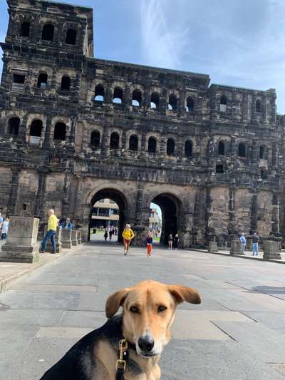 151. Photo Challenge: Sehenswürdigkeiten-Beitrag-Bild