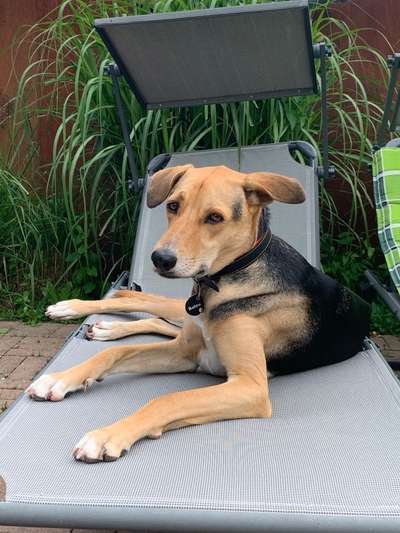 140. Foto Challenge - schattiges Plätzchen-Beitrag-Bild