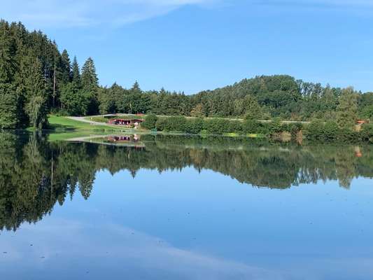 Wandern mit Hund-Beitrag-Bild