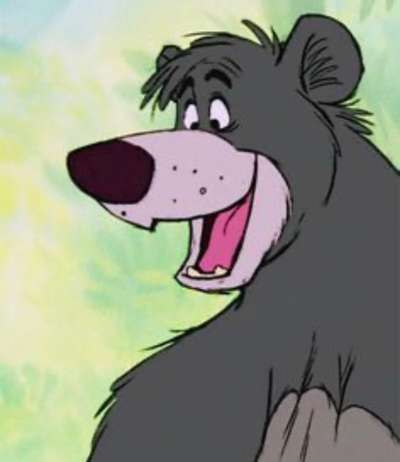 Wie heißt dein Hund?-Beitrag-Bild