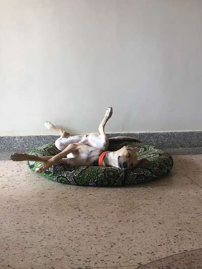 Fotochallenge Nr.65-Beitrag-Bild