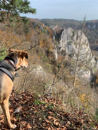 Fotochallenge Nr 107-Beitrag-Bild