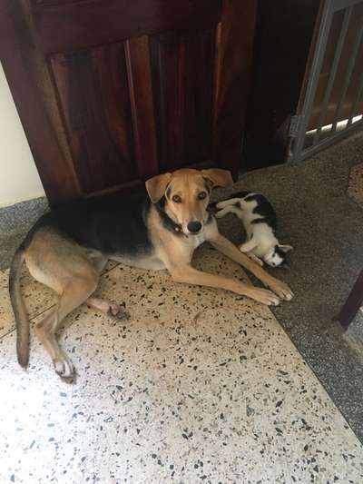 Challenge 30  Freundschaft-Beitrag-Bild