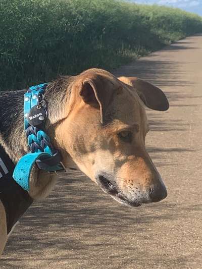 23. Farben / Fotochallenge - Türkis --Beitrag-Bild