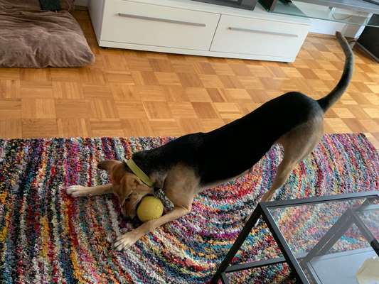 138. Fotochallenge 

(M)Ein Ball und ich-Beitrag-Bild