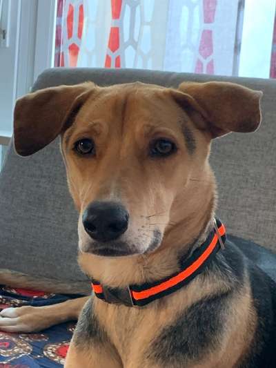 21. Farben / Foto Challenge - Neon / Leuchtfarben-Beitrag-Bild