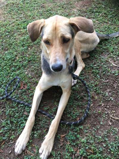 28. Handy-Fotochallenge - Damals und heute-Beitrag-Bild