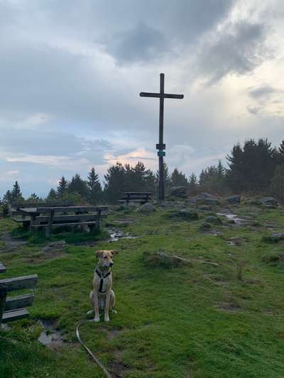 Dogorama Foto Challenge - Wanderziel-Beitrag-Bild