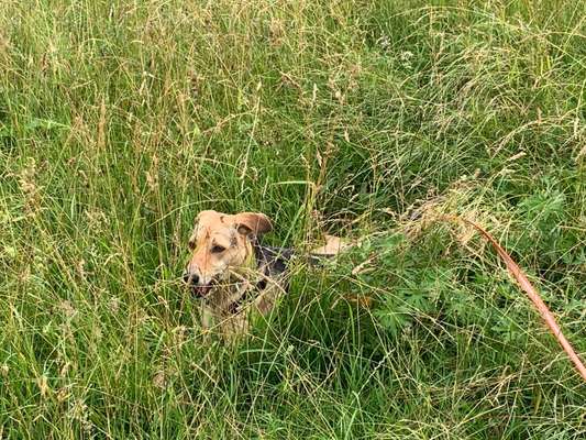 42.Fotochallenge - Eure schönen Momente beim Spaziergang-Beitrag-Bild