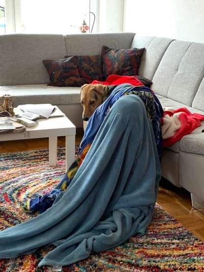 10. Farben Foto-Challenge ---- Blau-Beitrag-Bild