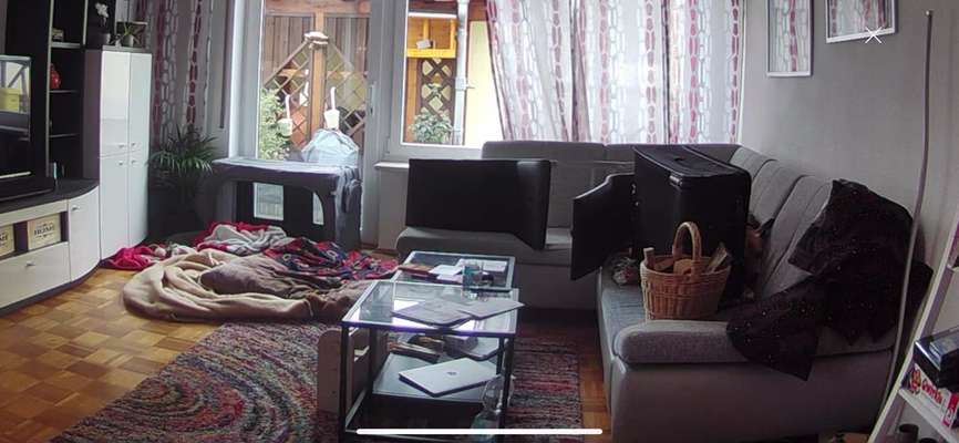 143. Fotochallenge: Ja, wo isser denn?-Beitrag-Bild