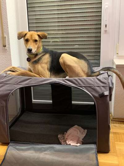 57. Handy Foto Challenge - klettern-Beitrag-Bild