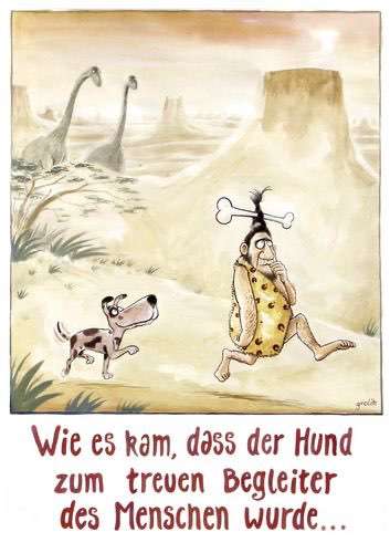 Hunde Memes-Beitrag-Bild