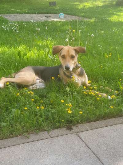 Fotochallenge Nr. 126-Beitrag-Bild