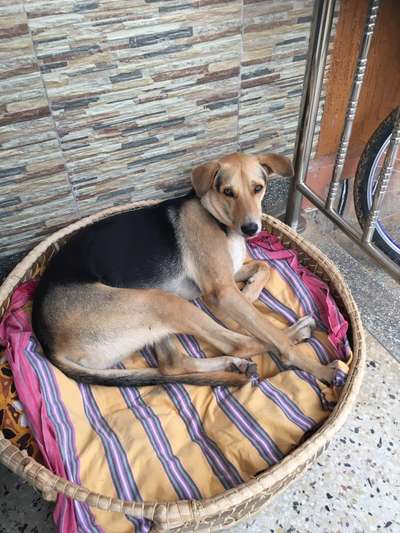 32. Farben Challenge  ** ( BUNTE ) STREIFEN **-Beitrag-Bild