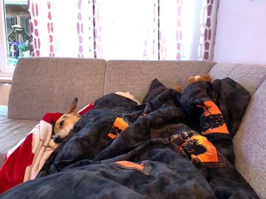 80. Foto  Challenge - Versteckt/ in einer Höhle-Beitrag-Bild