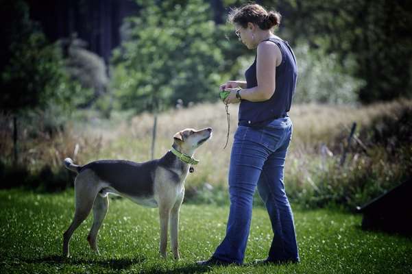 Fotochallenge 108: Starkes Team-Beitrag-Bild