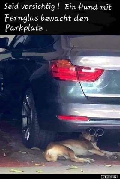 Hier ist der Spaßthread. Zum Schmunzeln und Kaputtlachen-Beitrag-Bild