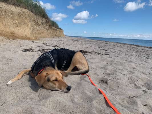 Fotochallenge Nr.100 Urlaubsimpressionen-Beitrag-Bild