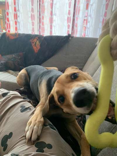 60. Handy Fotochallenge  -gleich schnapp ich es--Beitrag-Bild