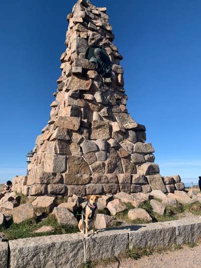 Dogorama Photo Challenge - Türme-Beitrag-Bild