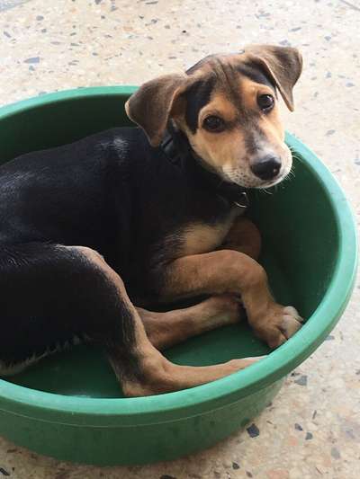 121. Fotochallenge-Beitrag-Bild