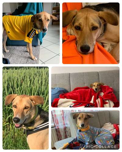 48. Collagen Challenge: Das Leben ist bunt-Beitrag-Bild