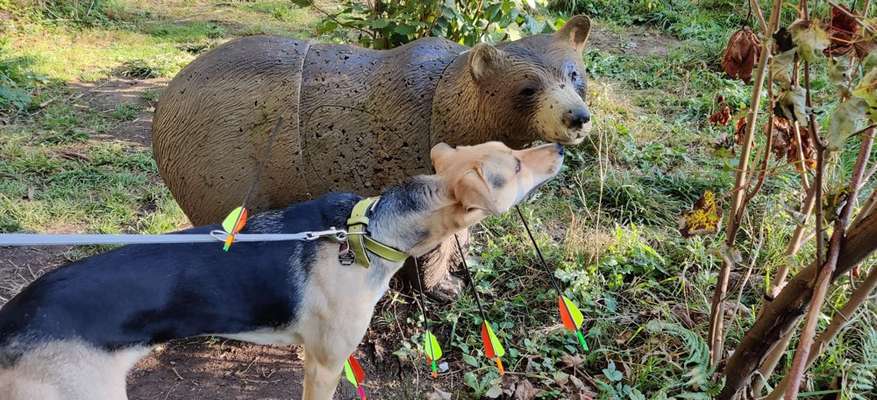 63. Handyfotochallenge   * Nase dran ! *-Beitrag-Bild