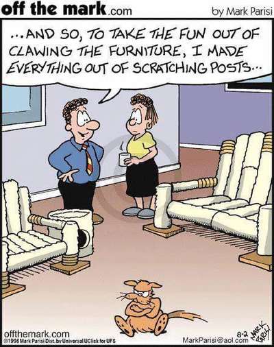 Hunde Memes-Beitrag-Bild