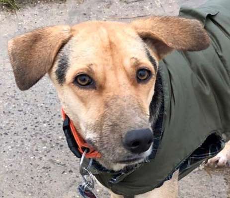 12. Farben Foto Challenge --- Braun-Beitrag-Bild