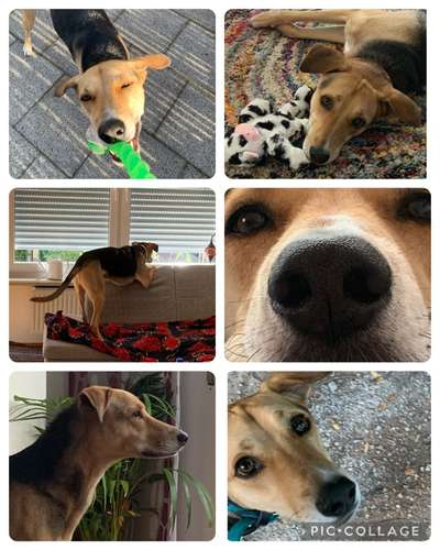 53. Collage Challenge - Verschiedene Blickwinkel-Beitrag-Bild