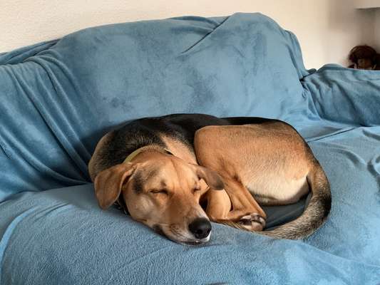 FOTO-Challenge  NR. 91: Die pure Entspannung-Beitrag-Bild