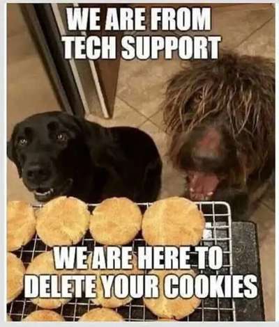 Hunde Memes-Beitrag-Bild