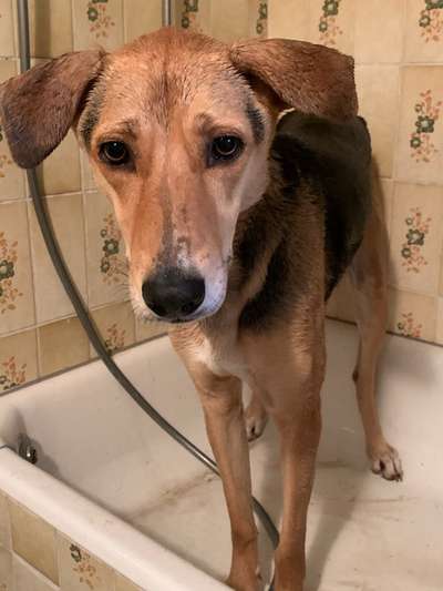 22. Handy Foto - Challenge-Beitrag-Bild