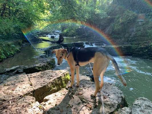 24. Farben Fotochallenge / Regenbogenfarben oder so bunt wie möglich!-Beitrag-Bild