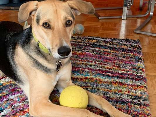 Fotochallange Nr. 57     PORTRÄT.   Beendet!!!!!!!!-Beitrag-Bild