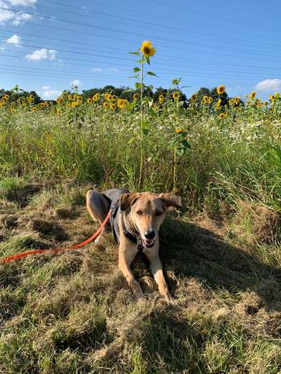 Fotochallenge 78

Es grünt und blüht-Beitrag-Bild