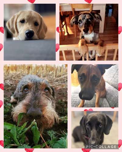 147. Foto Challenge: Bettelblick-Beitrag-Bild