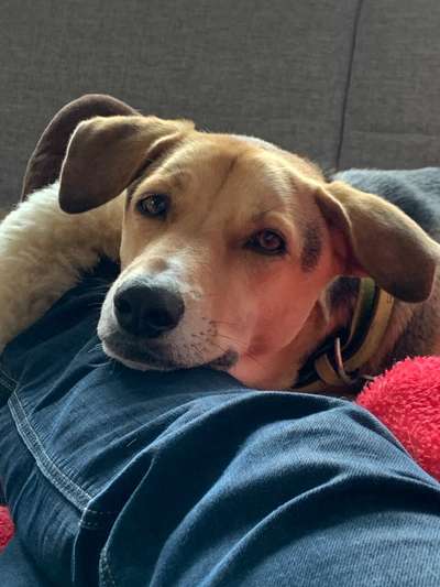 Fotochallenge Nr. 67: Euer Lieblingsbild-Beitrag-Bild