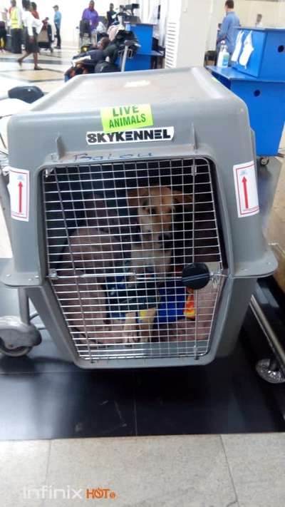 29. Farben Foto Challenge -
Silber glänzend.-Beitrag-Bild